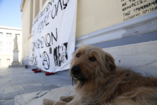 «Ανήθικη η λογική των δύο μέτρων και των δύο σταθμών»