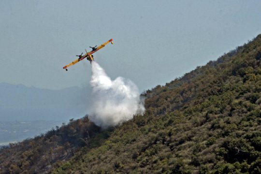 Οδηγίες για την πρόληψη δασικών πυρκαγιών
