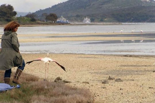 Περιφερειακό πάρκο ο υγρότοπος στο Βουρκάρι Μεγάρων