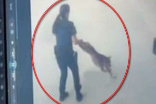 Από τη βαρβαρότητα στην φροντίδα…