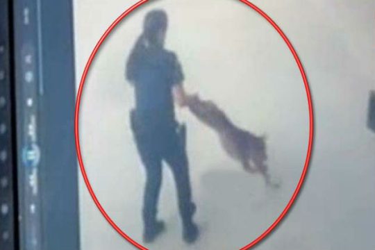 Από τη βαρβαρότητα στην φροντίδα…