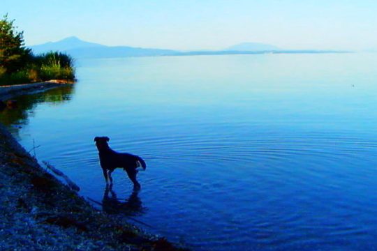 Γκοντάρ σε απόγνωση, Κλούνεϊ σε περιπέτειες