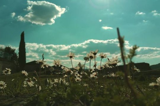 Το κενό ανάμεσα στο όνειρο και στο ξύπνημά του