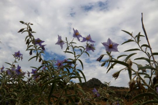 Χαλάει από το βράδυ ο καιρός