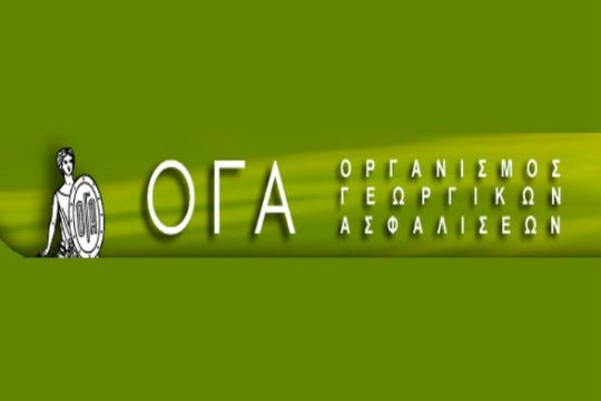 Αρχίζουν οι αιτήσεις για χορήγηση οικογενειακών επιδομάτων