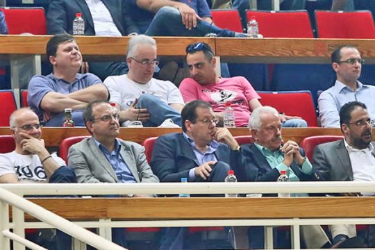 Γηπεδικός