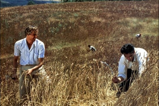 Διπλό θεσσαλονικιώτικο καλωσόρισμα για Ταβιάνι