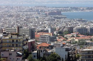 Δένδρα με… ταυτότητα