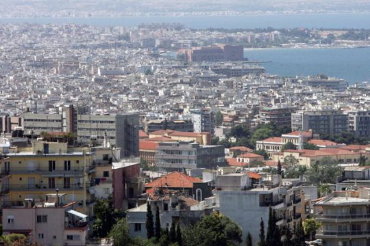 Δένδρα με… ταυτότητα