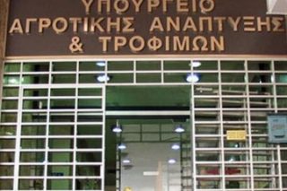 Αγνωστη ασθένεια καταστρέφει τις καλλιέργειες φιστικιού