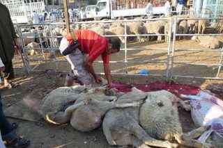 Ταξίδι στην κόλαση μέχρι τη σφαγή