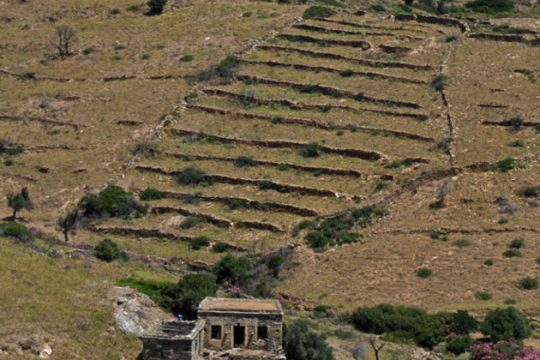 Συνειρμοί στις πεζούλες