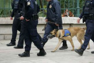 Πετούσαν το χασίς στο δρόμο για να διαφύγουν