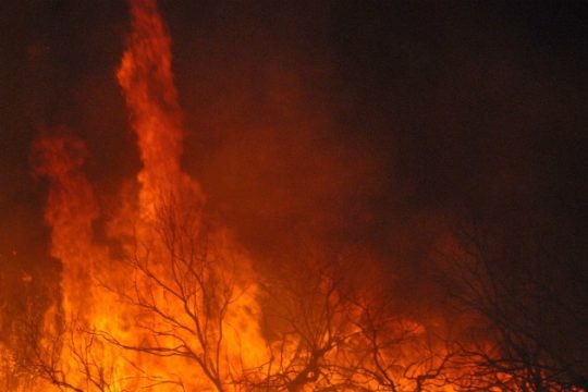 Μάχη με τις φλόγες στη Χαλκιδική