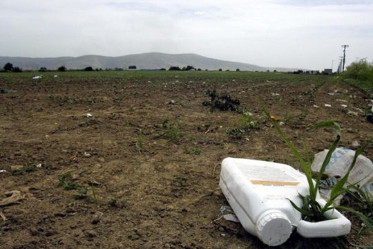 Μήλο μου κόκκινο και… τοξικό