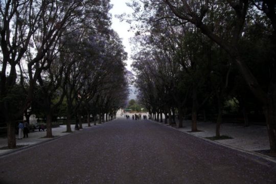 Βροχές, καταιγίδες και χαλάζι επιφυλάσσει ο Ιούνιος