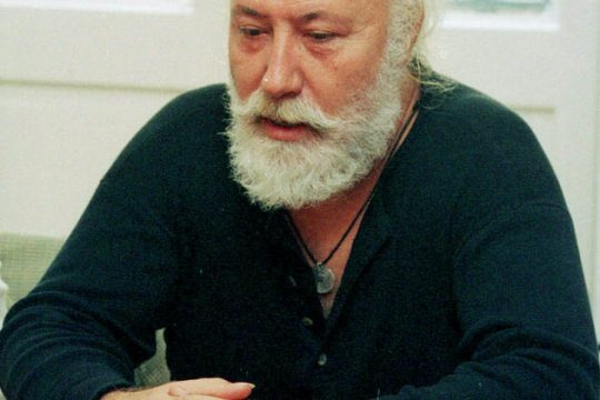 Καλλιτέχνης πολλαπλών μηνυμάτων