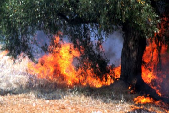 Υψηλός κίνδυνος πυρκαγιάς την Τετάρτη