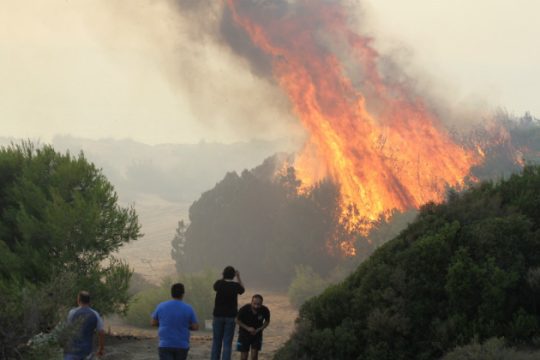 Μπήκε τελικά στο δάσος Στροφυλιάς η πυρκαγιά
