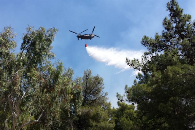 Πυρκαγιά στο Δίστομο Βοιωτίας