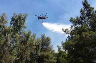 Νέες φωτιές στην Ηλεία