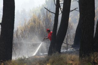 Η Αττική ακόμα καίγεται…