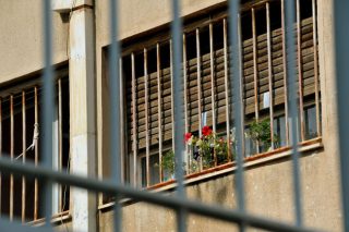Θέλει… εργασία και Παιδεία η ελευθερία