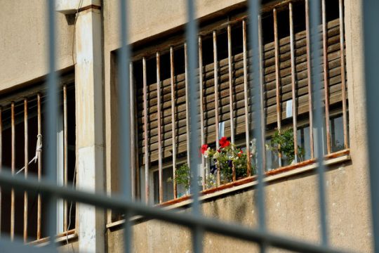 Θέλει… εργασία και Παιδεία η ελευθερία