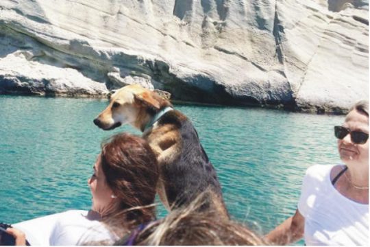 Η «Κούκλα» η μασκότ