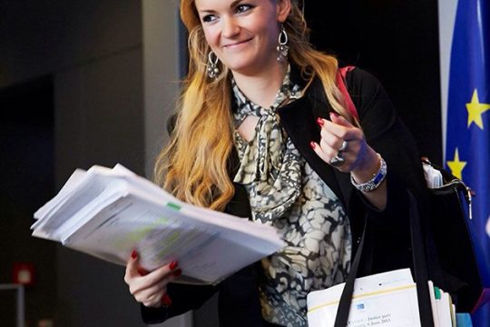Μόνον «τεχνική υποστήριξη» στη ΓΓΔΕ παραδέχεται η Ε.Ε.