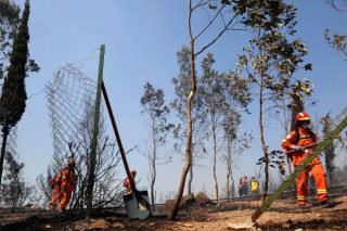 Μικρά και μεγάλα εγκλήματα στον Υμηττό
