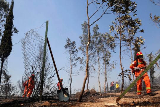 Μικρά και μεγάλα εγκλήματα στον Υμηττό