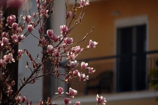 Το δικαίωμα στη μνήμη και τη λήθη