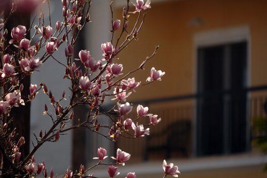 Το δικαίωμα στη μνήμη και τη λήθη