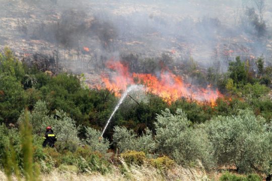 Σε ύφεση η φωτιά στη Σταμάτα Αττικής