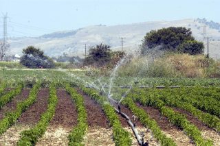 Μέχρι τέλη Σεπτεμβρίου οι δηλώσεις για γεωτρήσεις