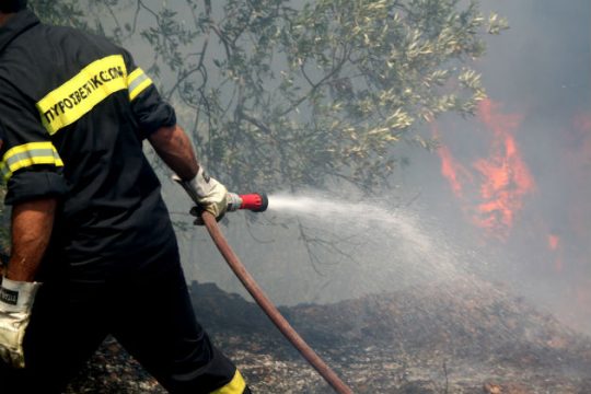 Πυρκαγιά στη Φυλή