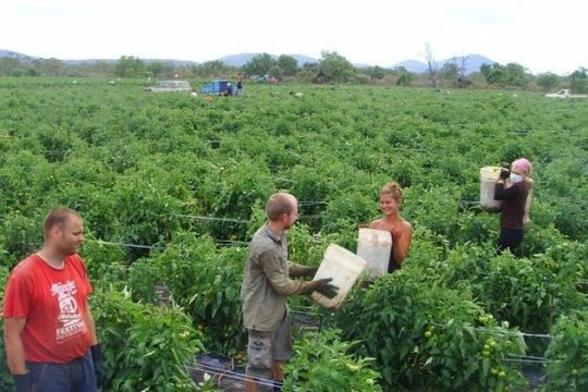 Η εκμετάλλευση δεν γνωρίζει σύνορα