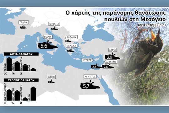 25 εκατ. πουλιά νεκρά καθε χρόνο στη Μεσόγειο