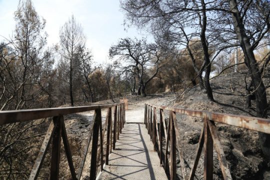 Υπό έλεγχο το πύρινο μέτωπο στη Βαρυμπόμπη