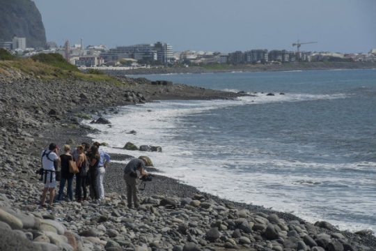 Νέα συντρίμμια αεροσκάφους στο νησί Ρεϊνιόν