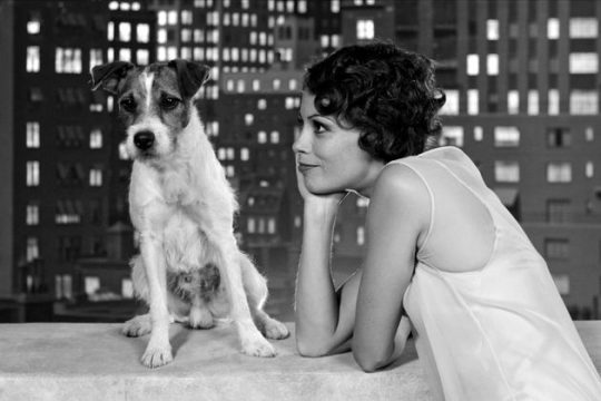 Αντίο Uggie