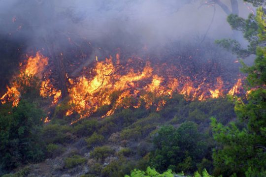 Κάηκε η Καλλιθέα Ξυλοκάστρου