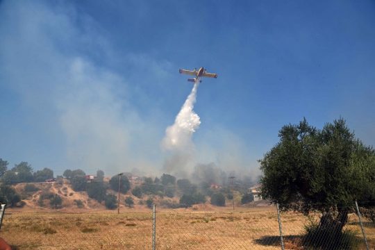 Δασική πυρκαγιά στο Ακόντιο Βοιωτίας