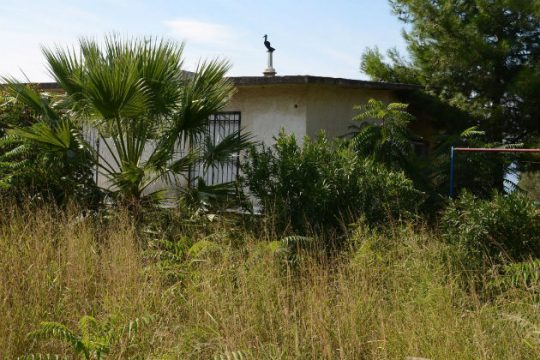 «Καθαρά» τα όπλα στην αγροικία Πετρακάκου