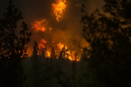 Ένας νεκρός και 400 σπίτια έκαψε πυρκαγιά στην Καλιφόρνια