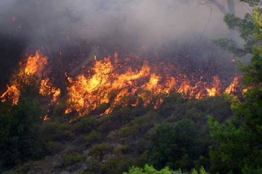 Πυρκαγιά στα νοτιοδυτικά της Κορώνης