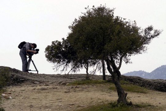 Καλοκαιριάτικες φωτογραφίες (α΄)