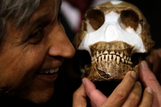 Homo Naledi: Συναρπάζει το νέο είδος ανθρώπου