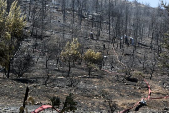 Εμπρός για την καταστροφή των βουνών μας…